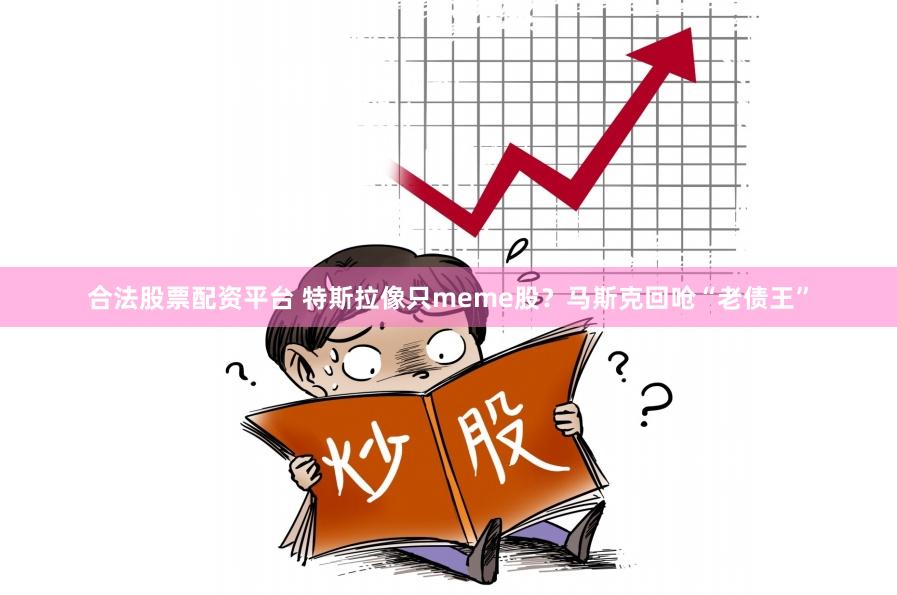 合法股票配资平台 特斯拉像只meme股？马斯克回呛“老债王”