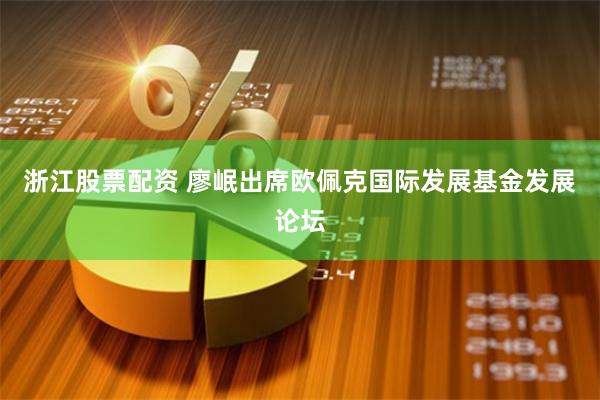 浙江股票配资 廖岷出席欧佩克国际发展基金发展论坛