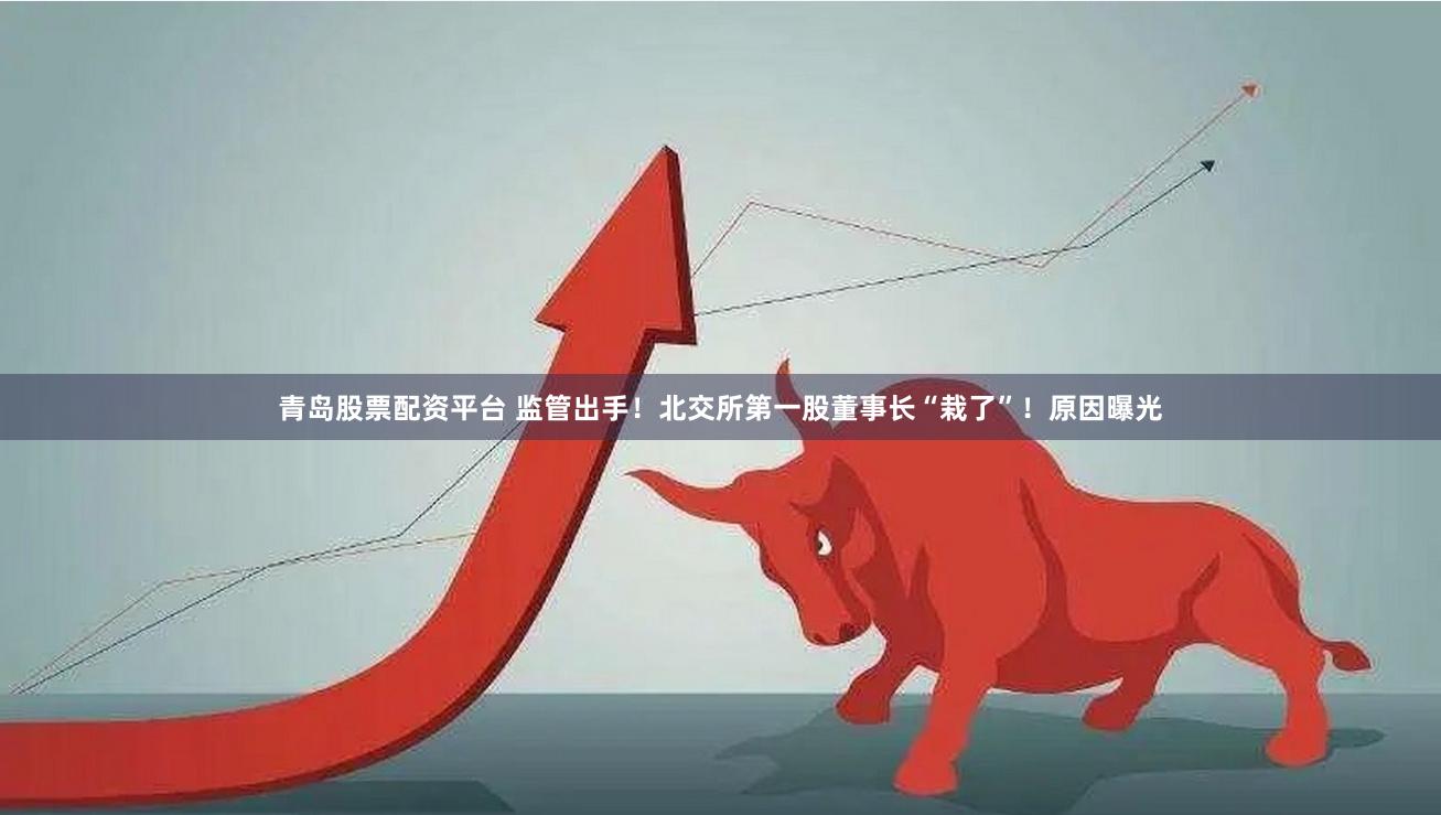 青岛股票配资平台 监管出手！北交所第一股董事长“栽了”！原因曝光