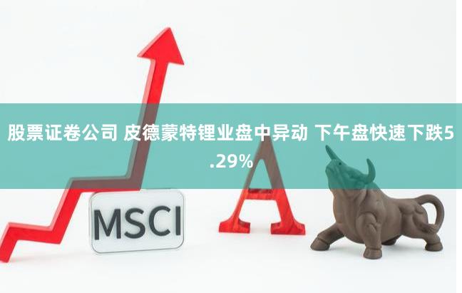 股票证卷公司 皮德蒙特锂业盘中异动 下午盘快速下跌5.29%