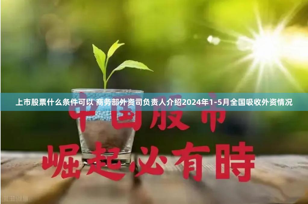 上市股票什么条件可以 商务部外资司负责人介绍2024年1-5月全国吸收外资情况